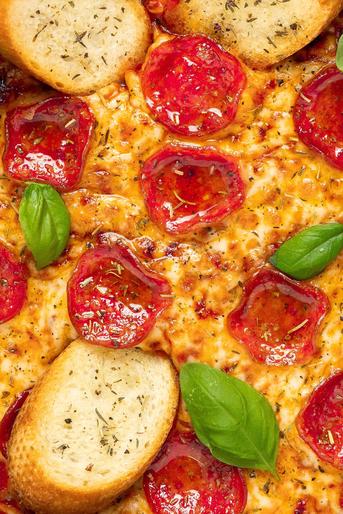 High Protein Pizza Dip